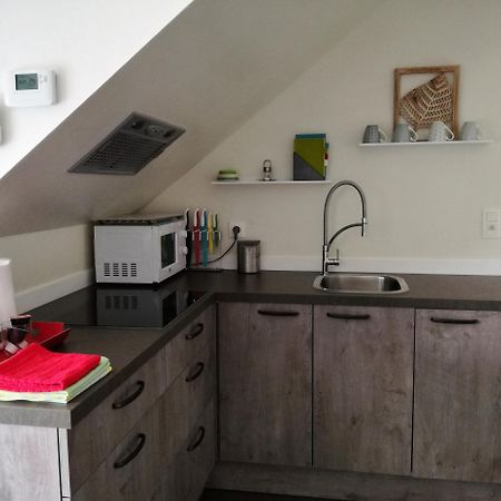 Vakantieverblijf Volmolen B&B Маасейк Екстер'єр фото