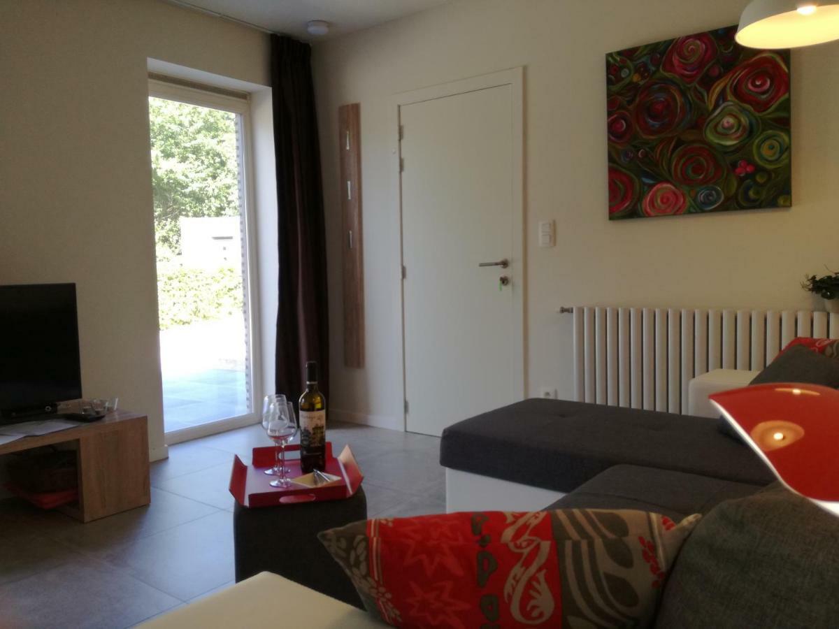 Vakantieverblijf Volmolen B&B Маасейк Екстер'єр фото