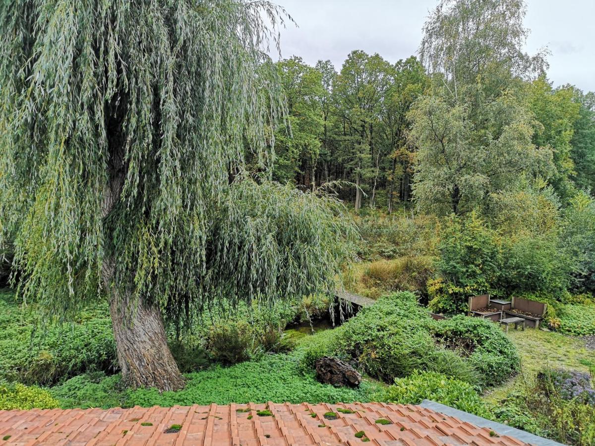 Vakantieverblijf Volmolen B&B Маасейк Екстер'єр фото